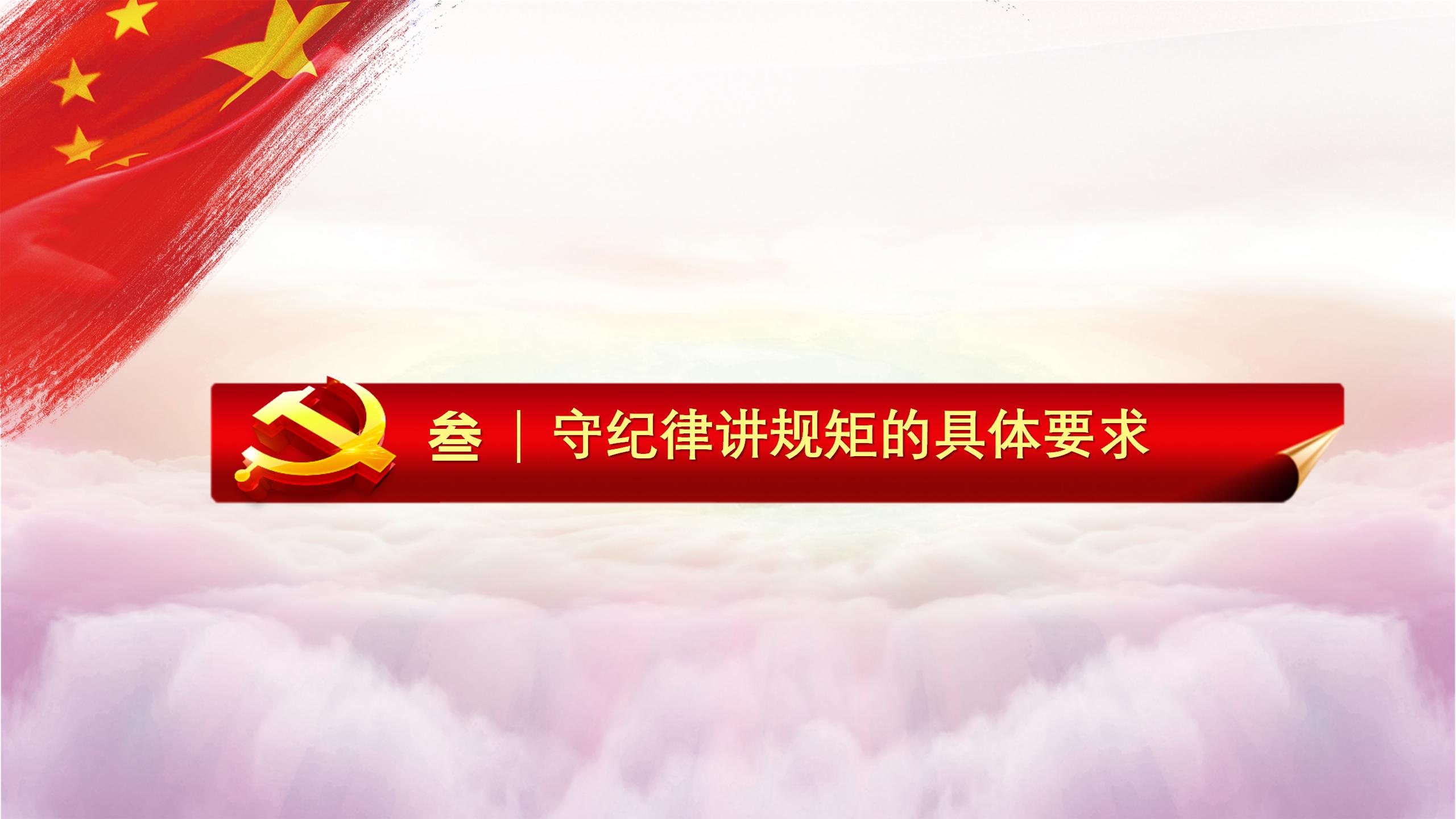 争做新时代合格党员PPT13