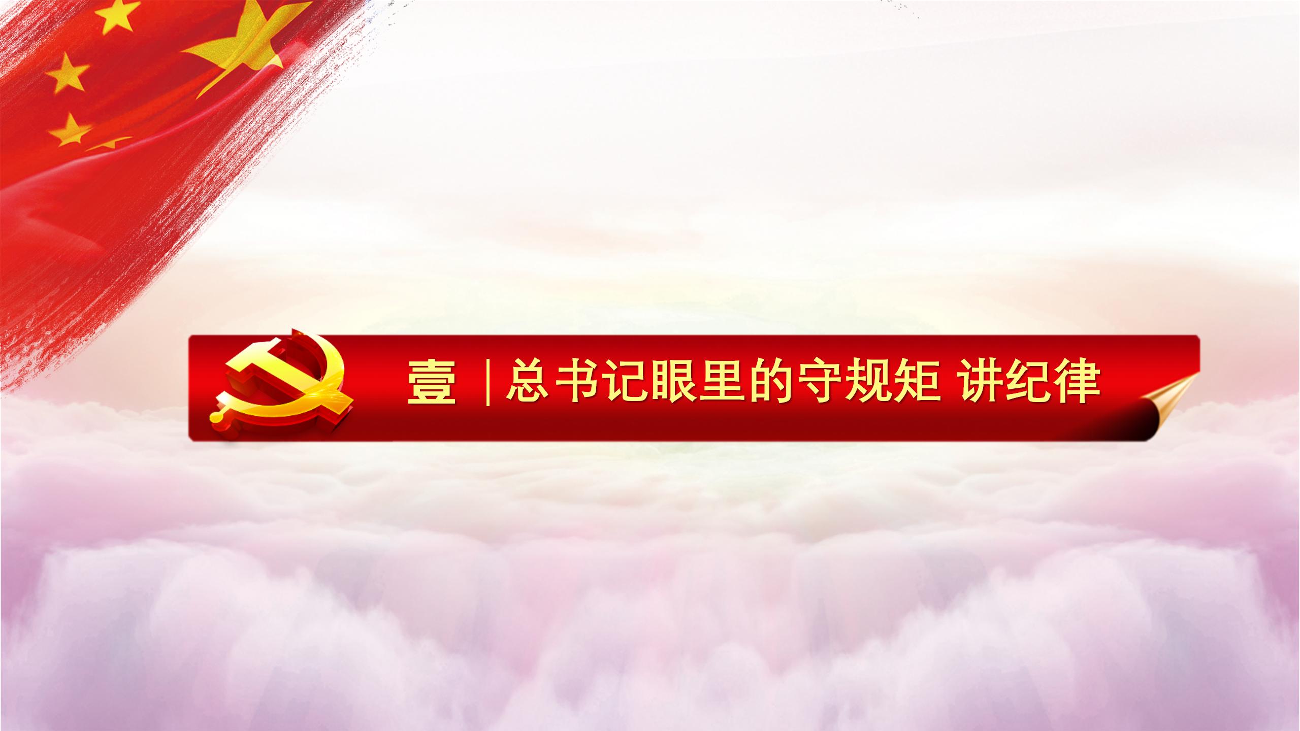 争做新时代合格党员PPT4