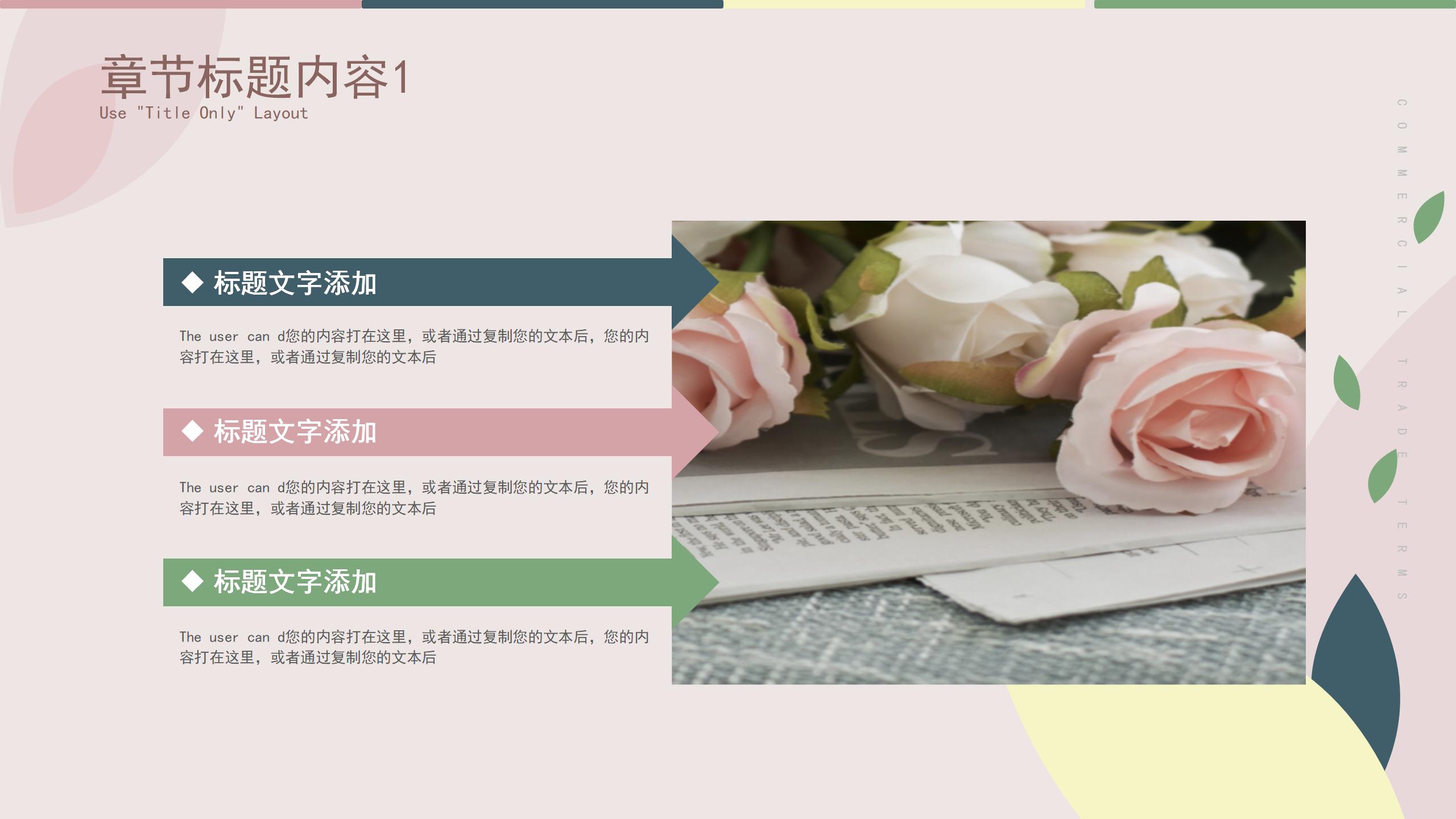品牌宣传推广专用PPT模板22