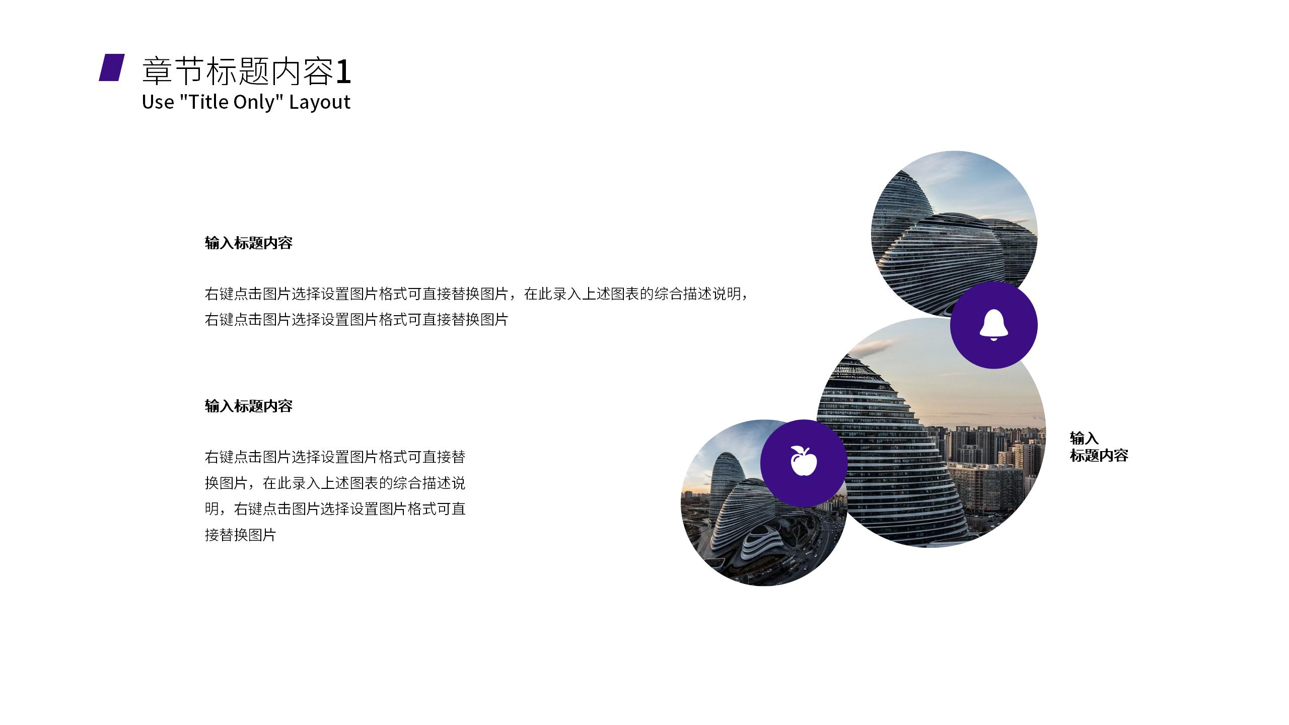 商业品牌推广专业PPT模板6