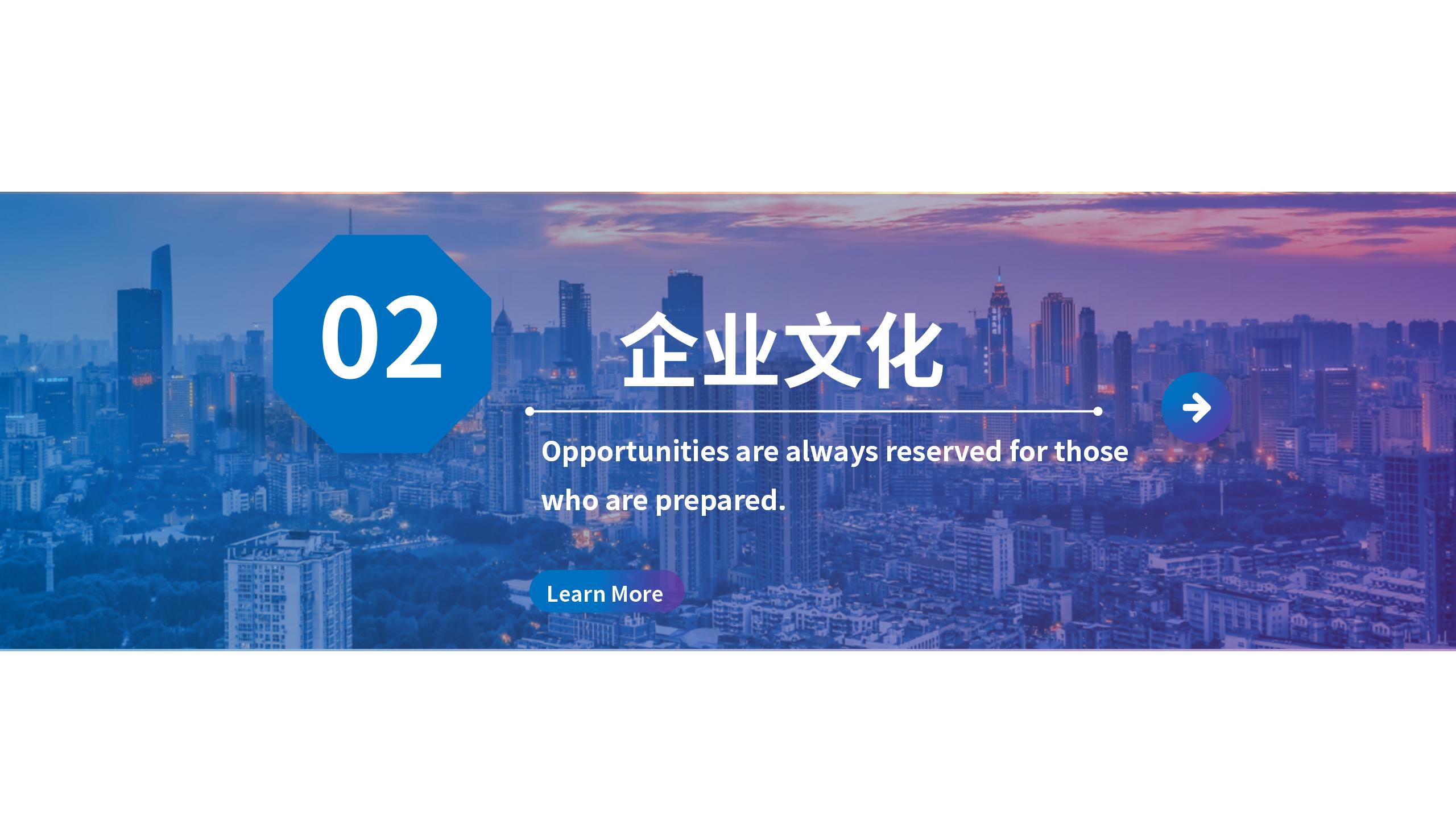 金融行业专用PPT模板8