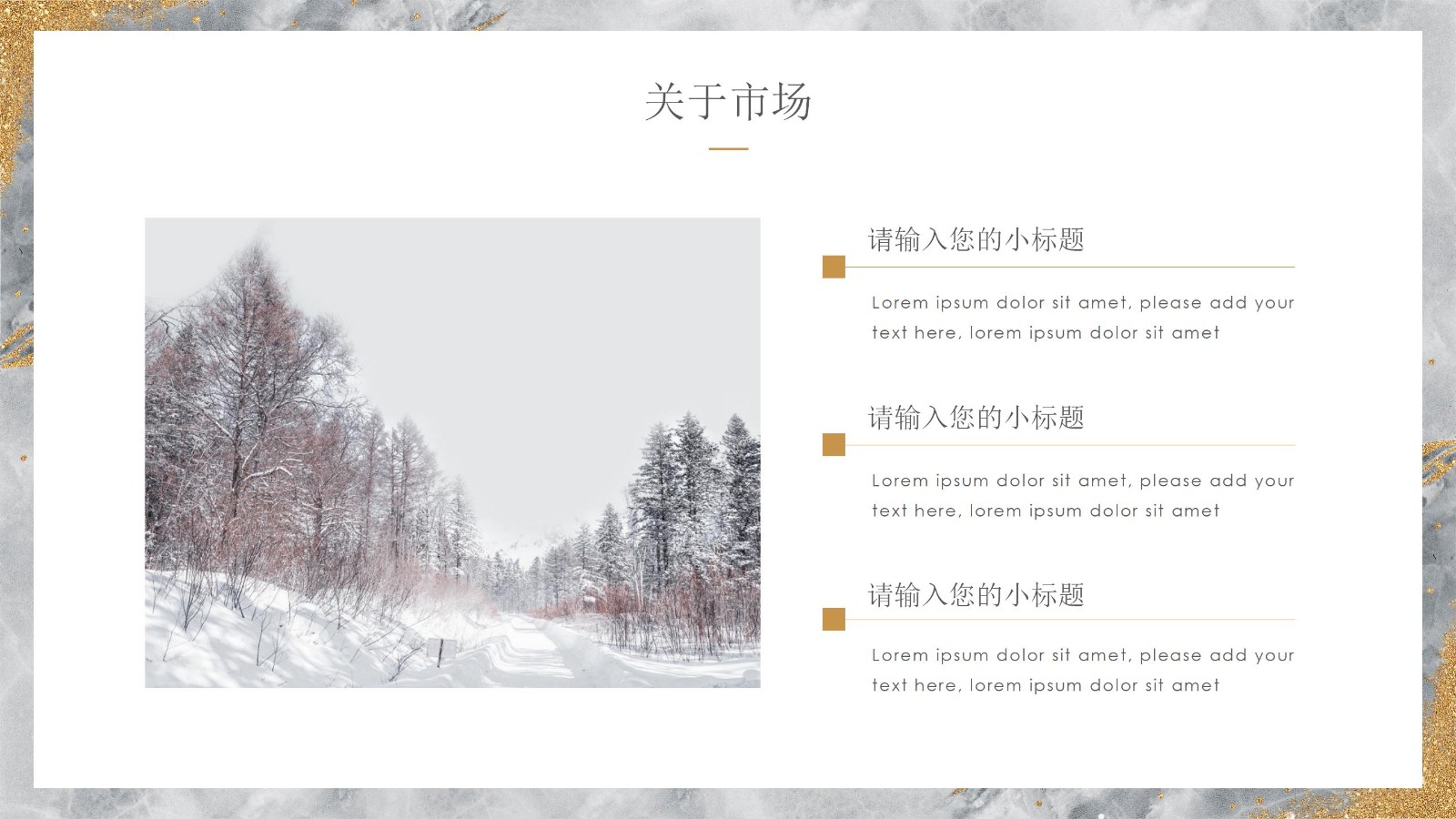 奢华金色调活动策划方案PPT4