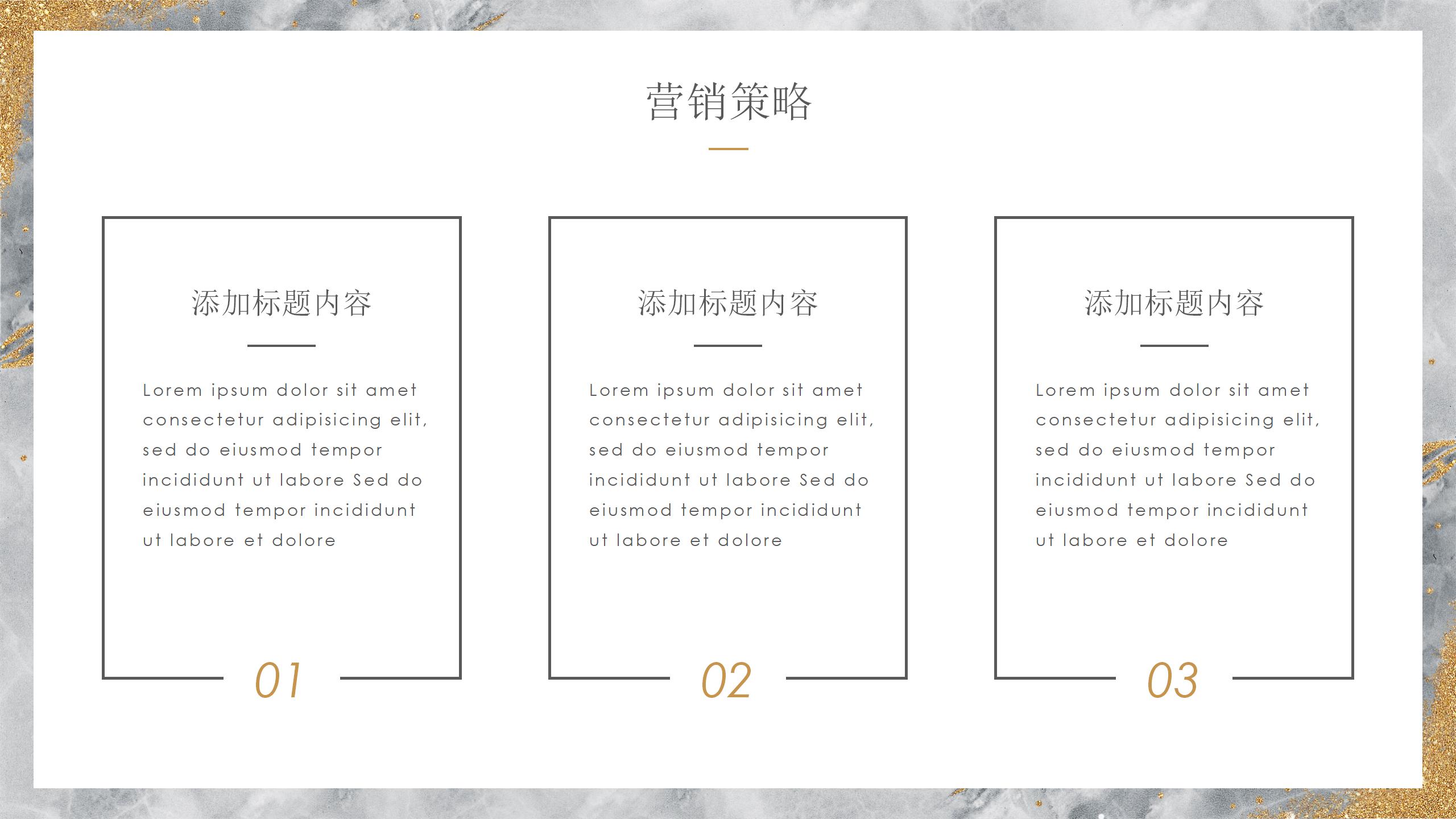 奢华金色调活动策划方案PPT17