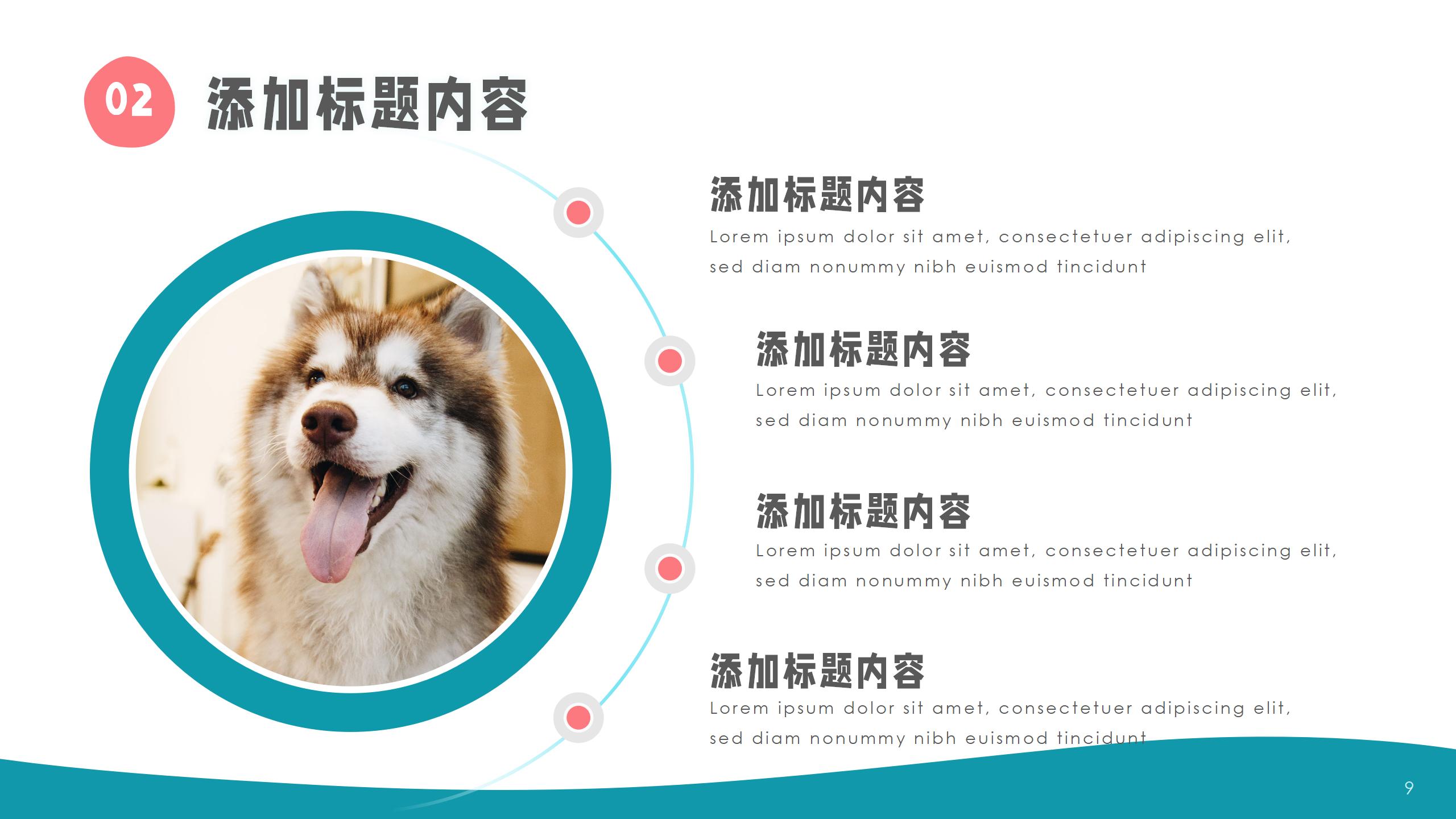 宠物主题模板商业计划PPT模板9