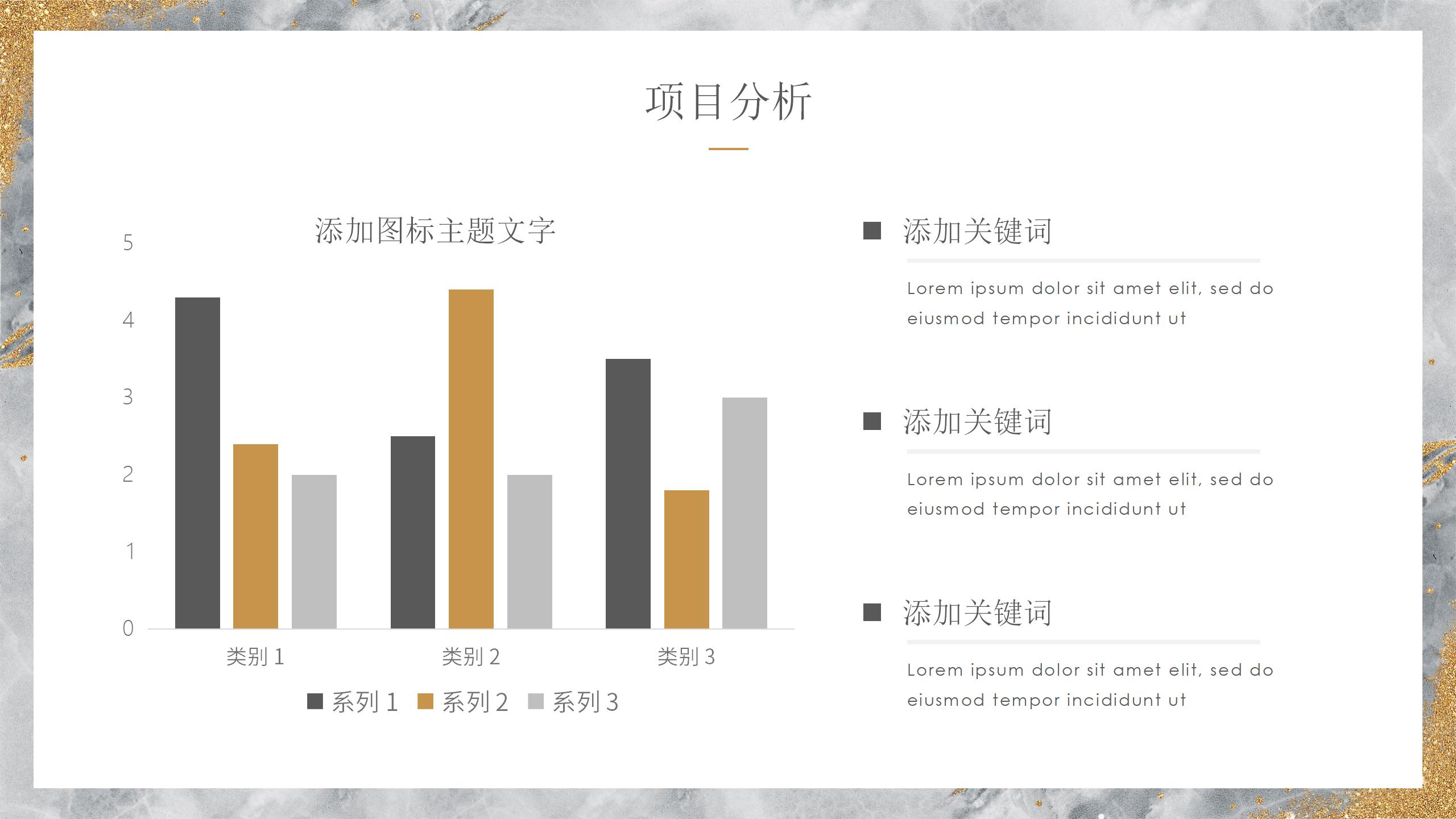 奢华金色调活动策划方案PPT9