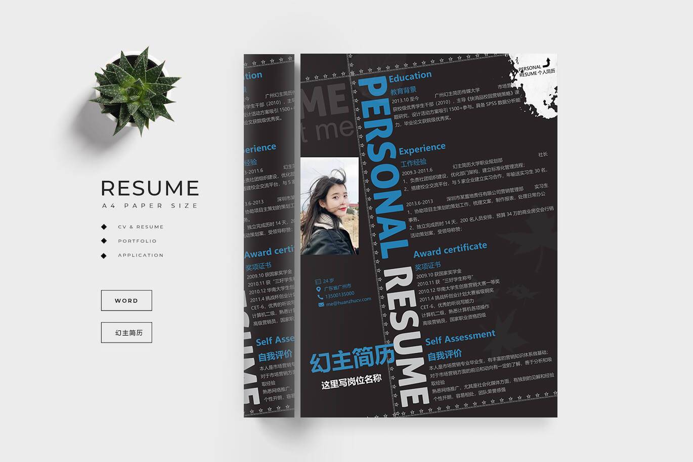 CY-00036艺术类word创意简历模板/