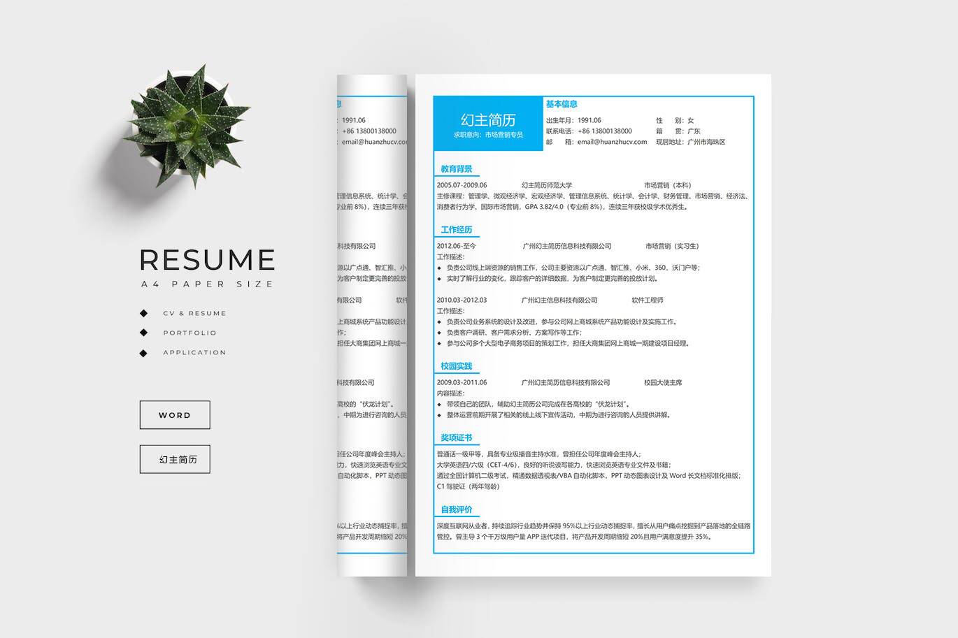 BGX-00057无头像电子表格简历模板/