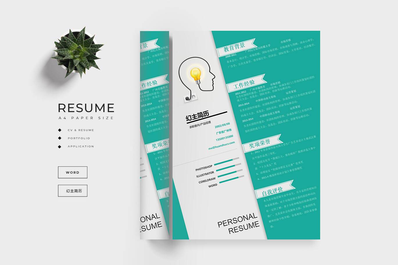 CY-00030头脑风暴word简历模板/