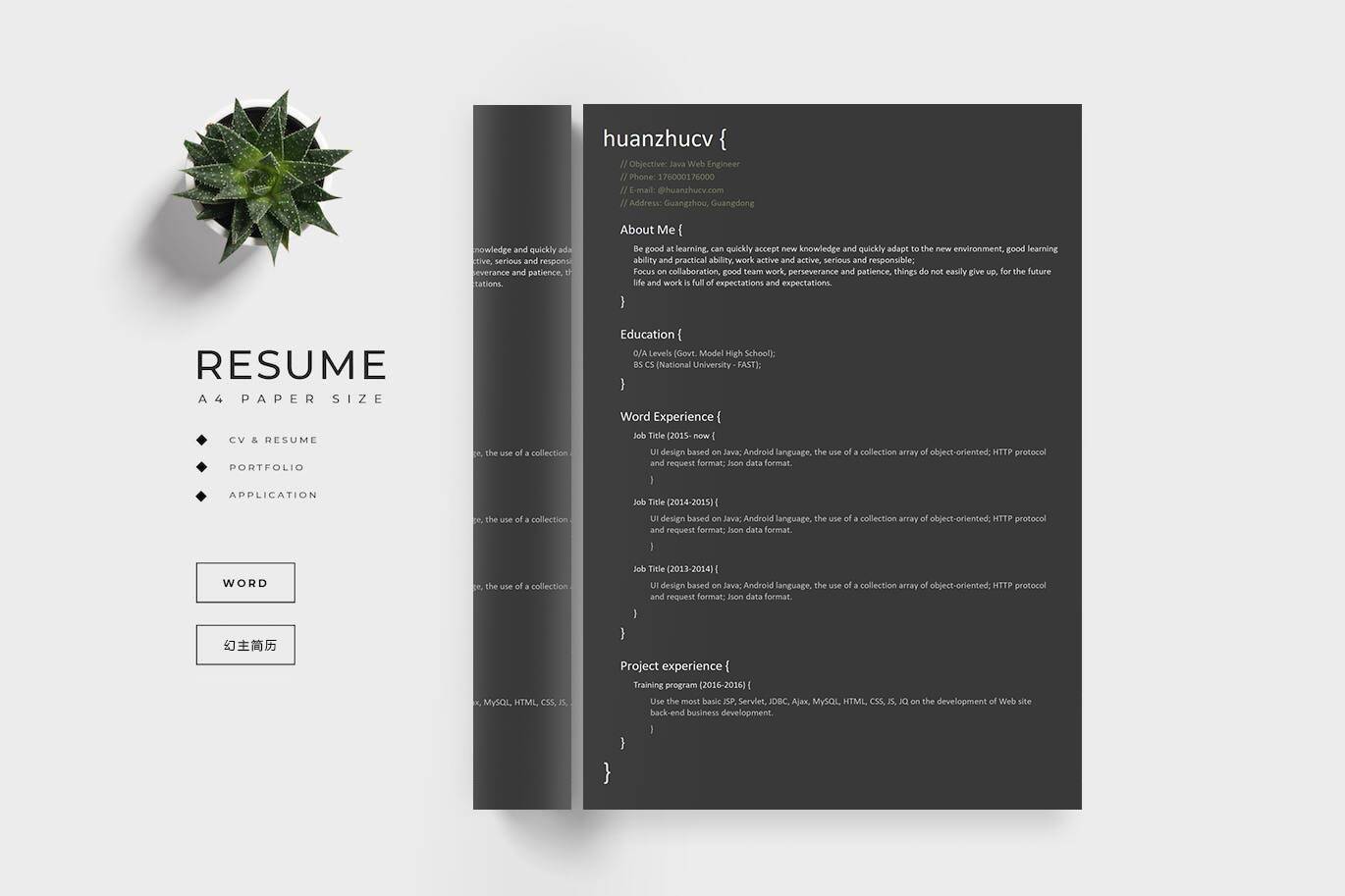 YWX-000014程序员代码风格英文简历模板/