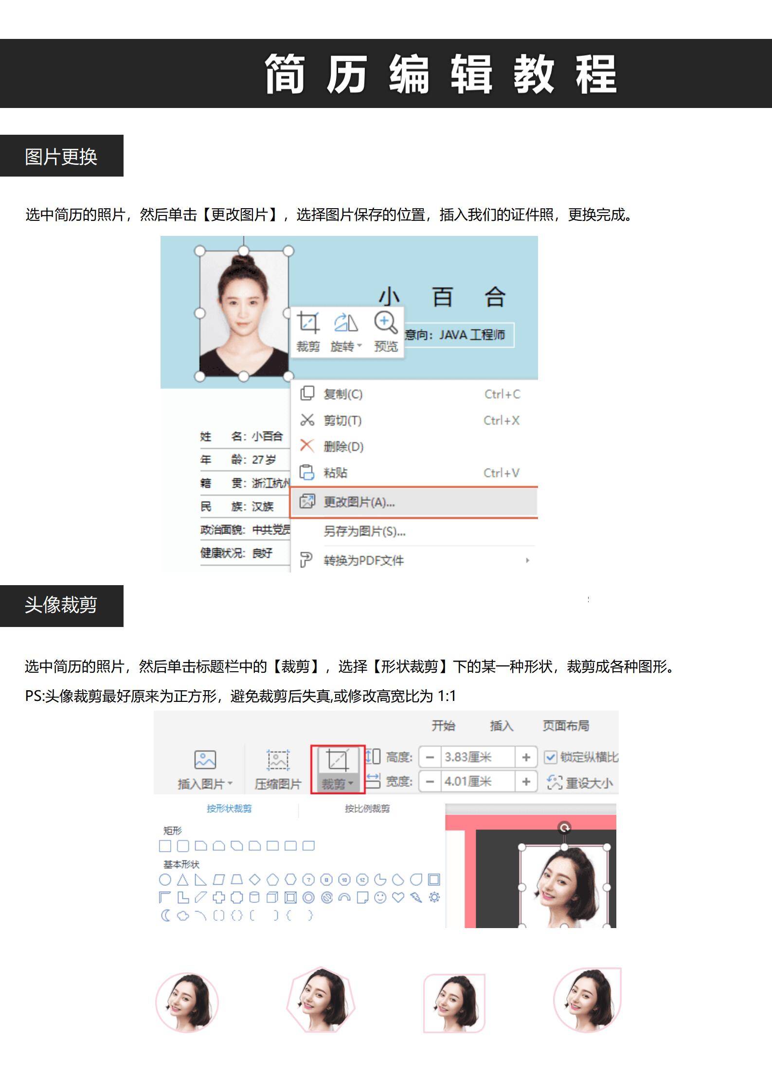 MX-1647IT行业信息化项目经理简历模板/