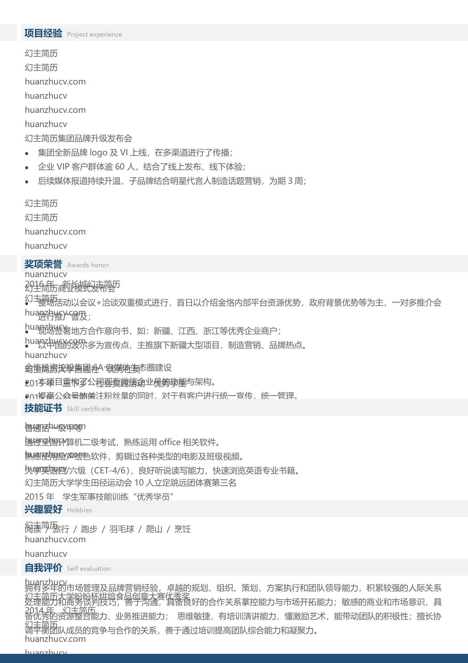 MX-1633市场营销总监10年经验简历模板/