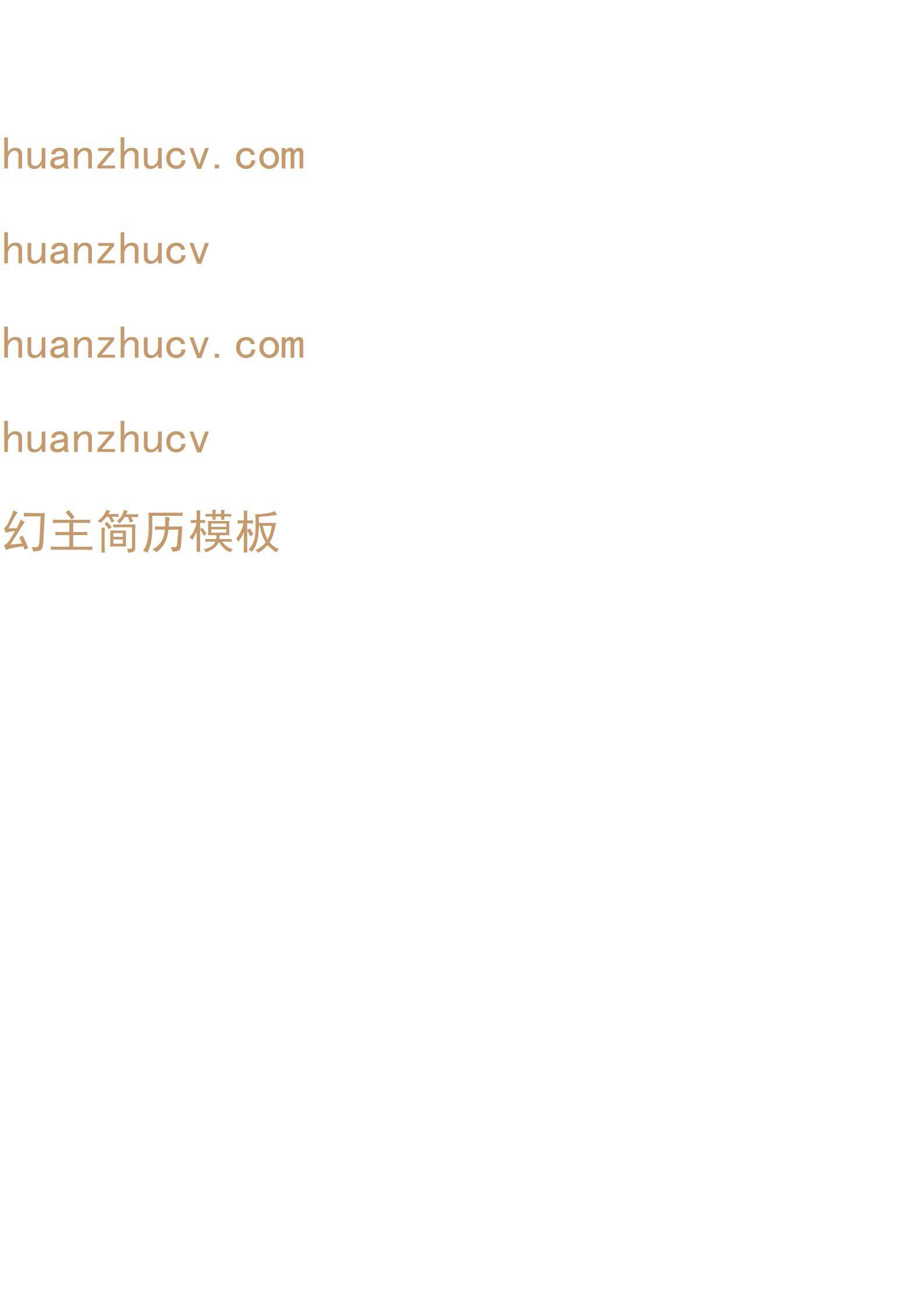 MX-0878视觉设计师作品集简历2页模板/