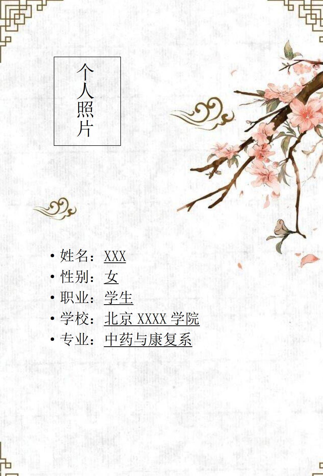 MX-4097中药康复个人简介简历模板/