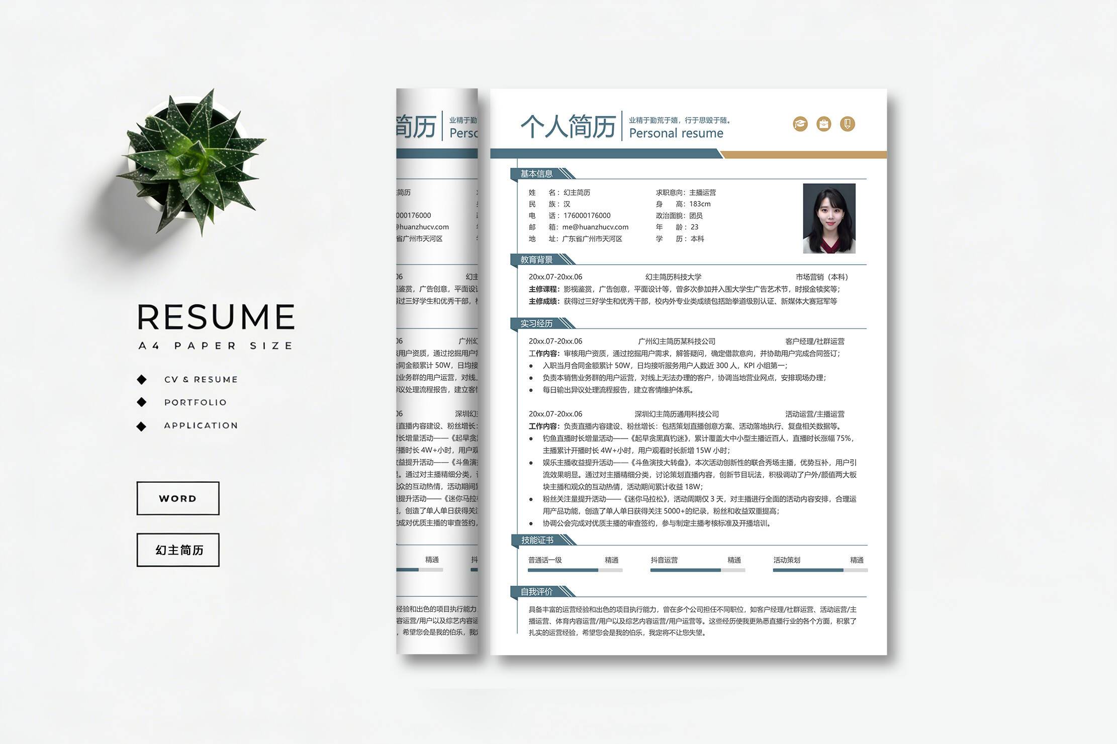 简约灰色风格英文简历模板